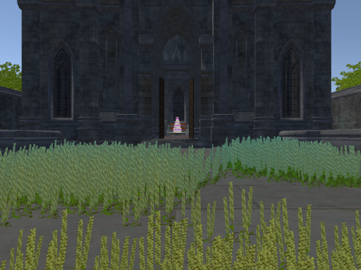 Wedding place