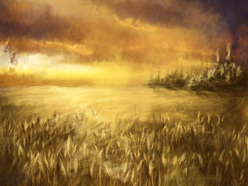 Field