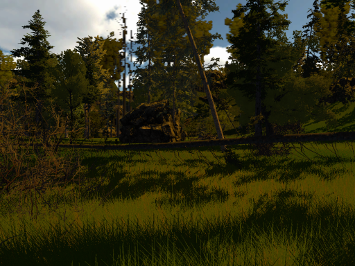 Big Forest