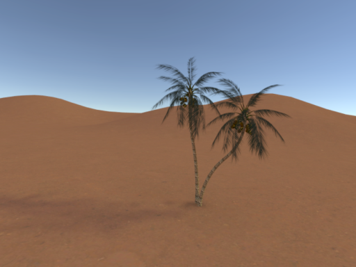 The Sahara Desert