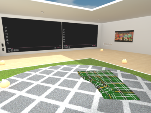 2 Video Room