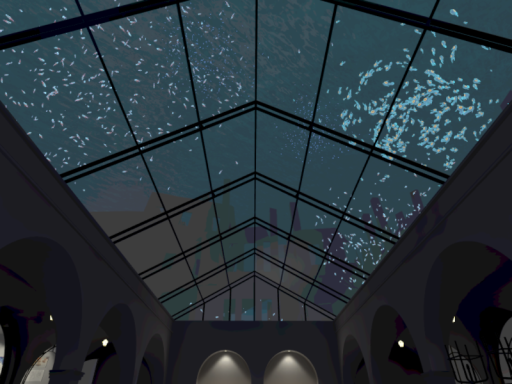 Underwater Gallery