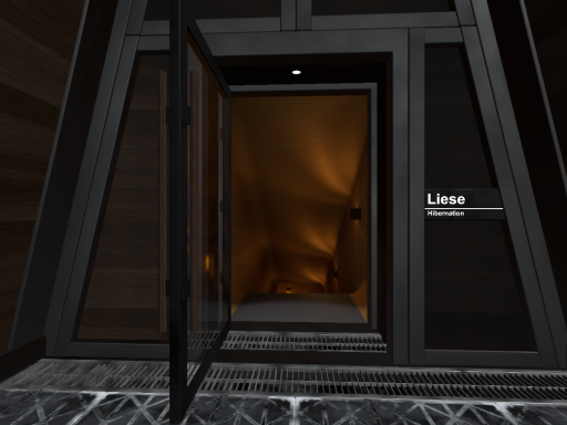 Liese Hibernation